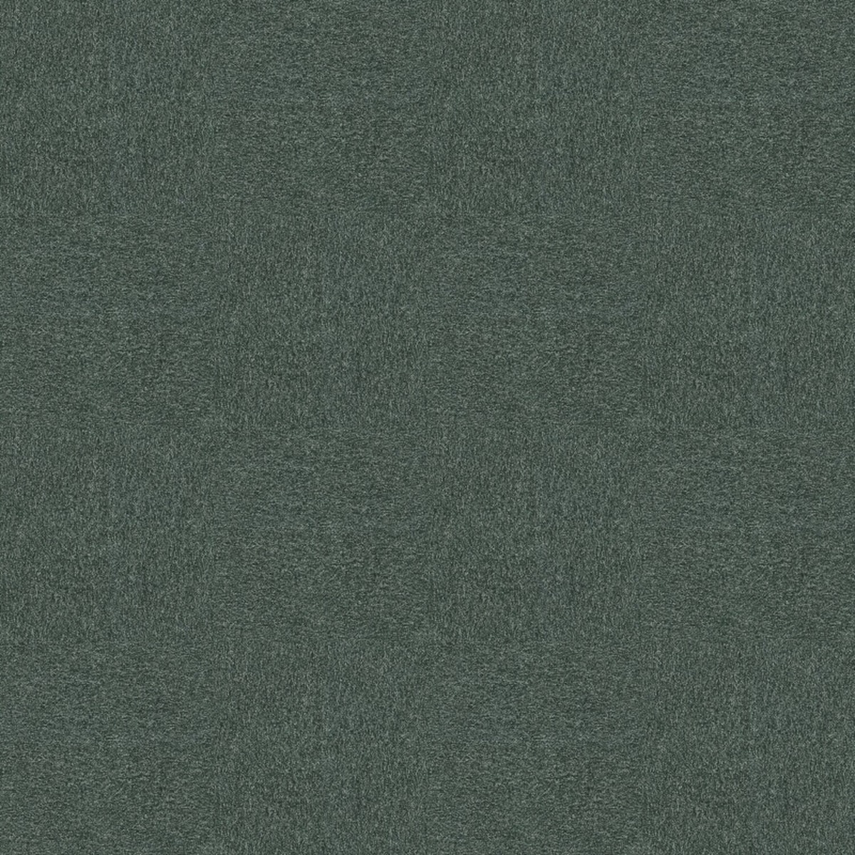 1797 MARINO - Color Scan