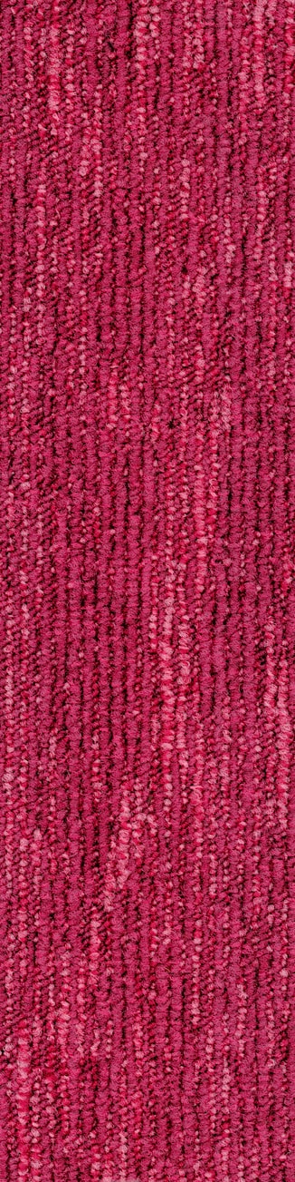 410 Fuchsia