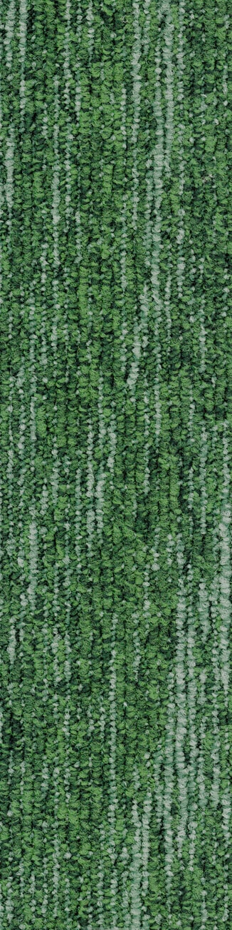 617 Moss