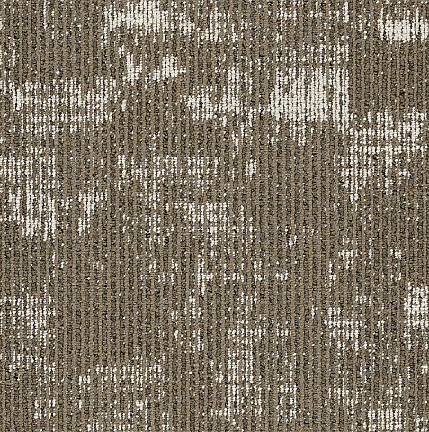 817 Pine