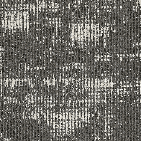 981 Fossil