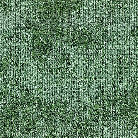 617 Moss