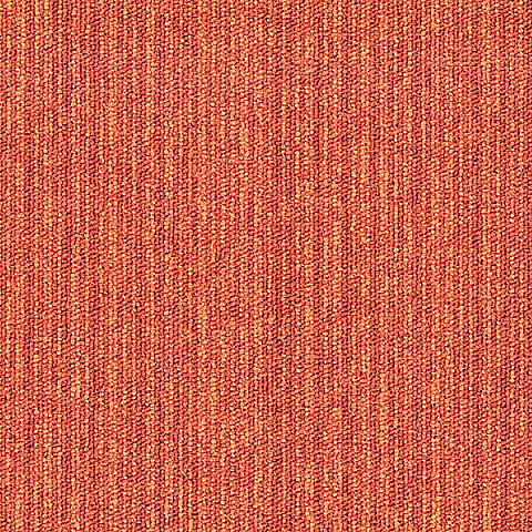 216 Motion
