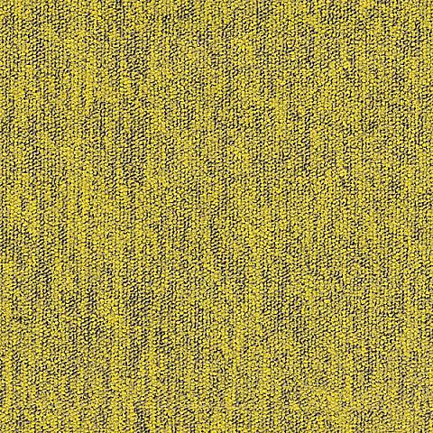 205 Mustard