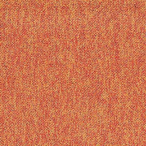 210 Orange