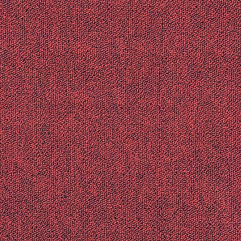 305 Red