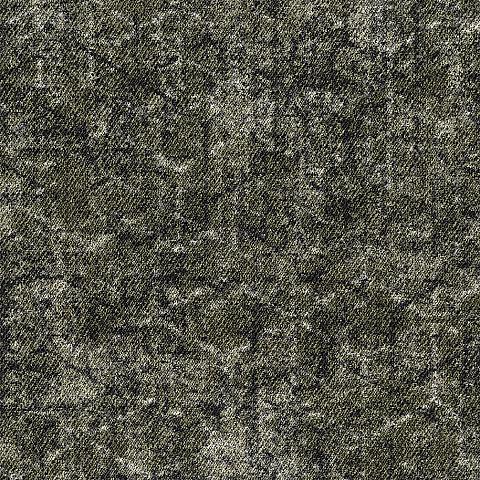 603 Lichen