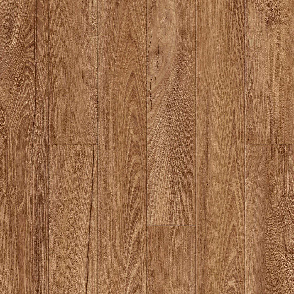 Frontier 1033 4V Rainforest