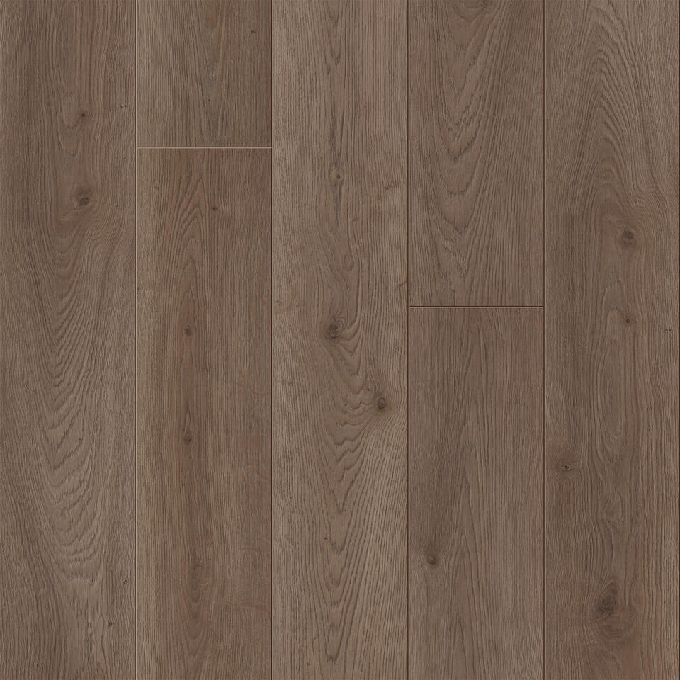 Giant 1233 4V Sunset Oak