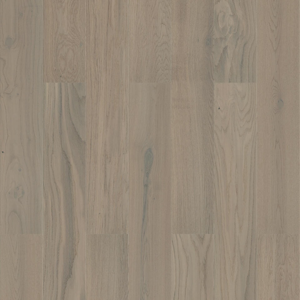 Hrast Royal Grey