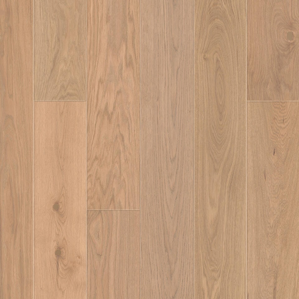 Hrast Soft Beige