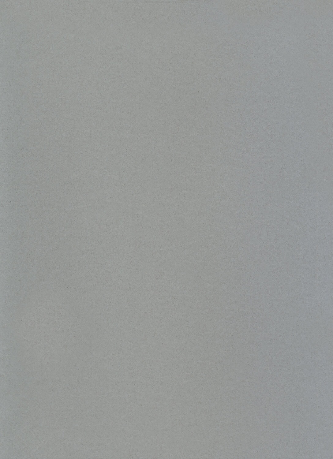 DLW COLORETTE ACOUSTIC PLUS