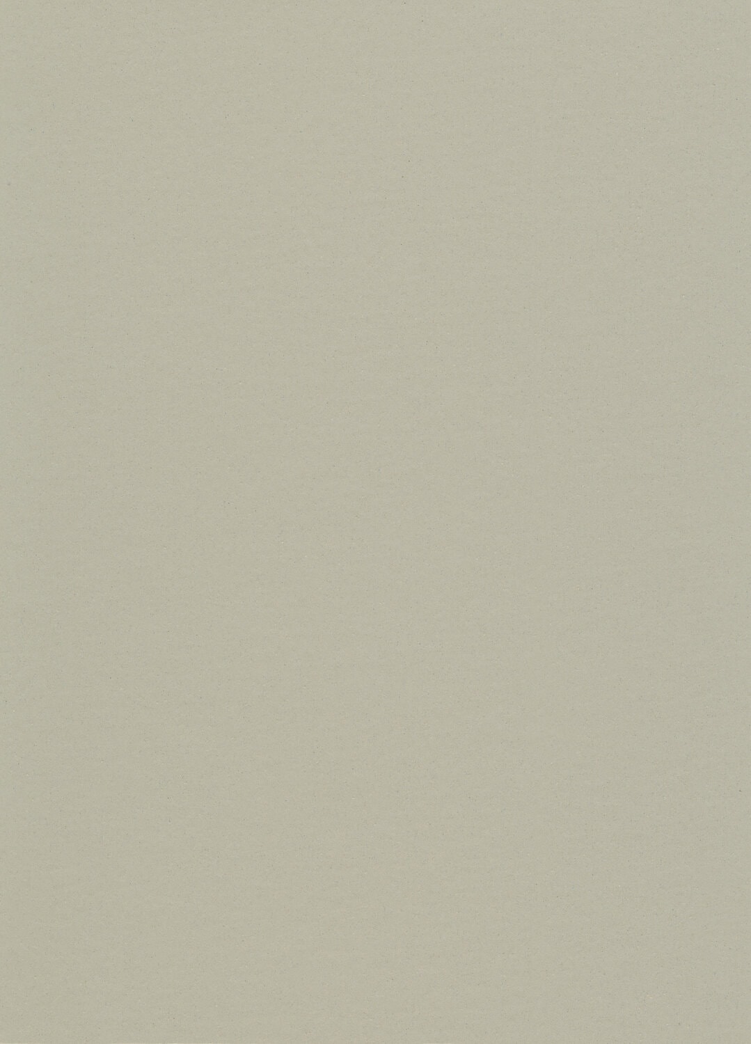 DLW UNI WALTON ACOUSTIC PLUS