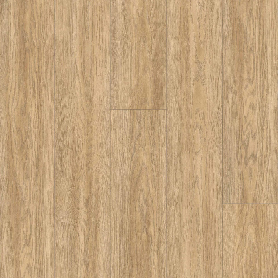 Timeless 1233 4V Canadian Oak