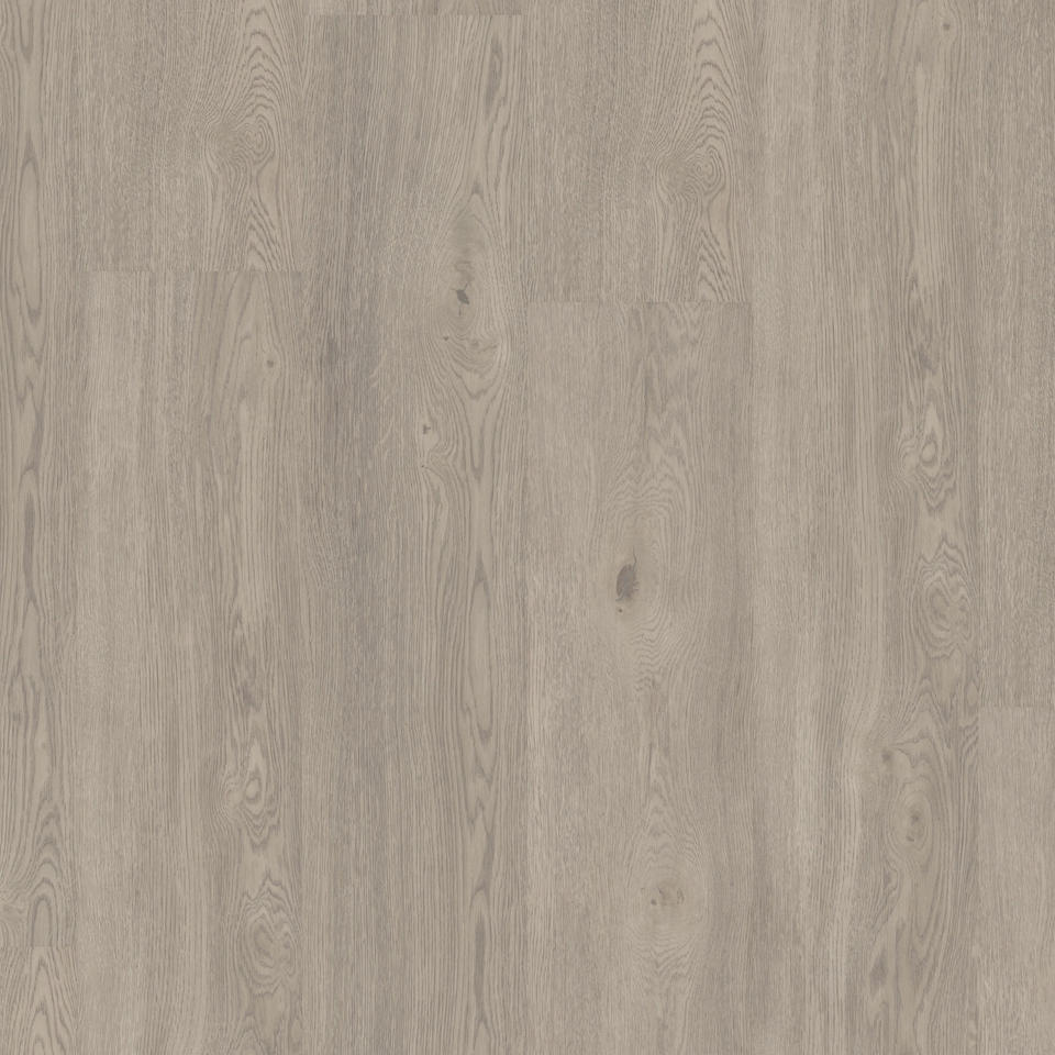 Living Oak GREY