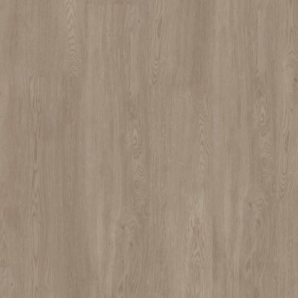 Living Oak NATURAL