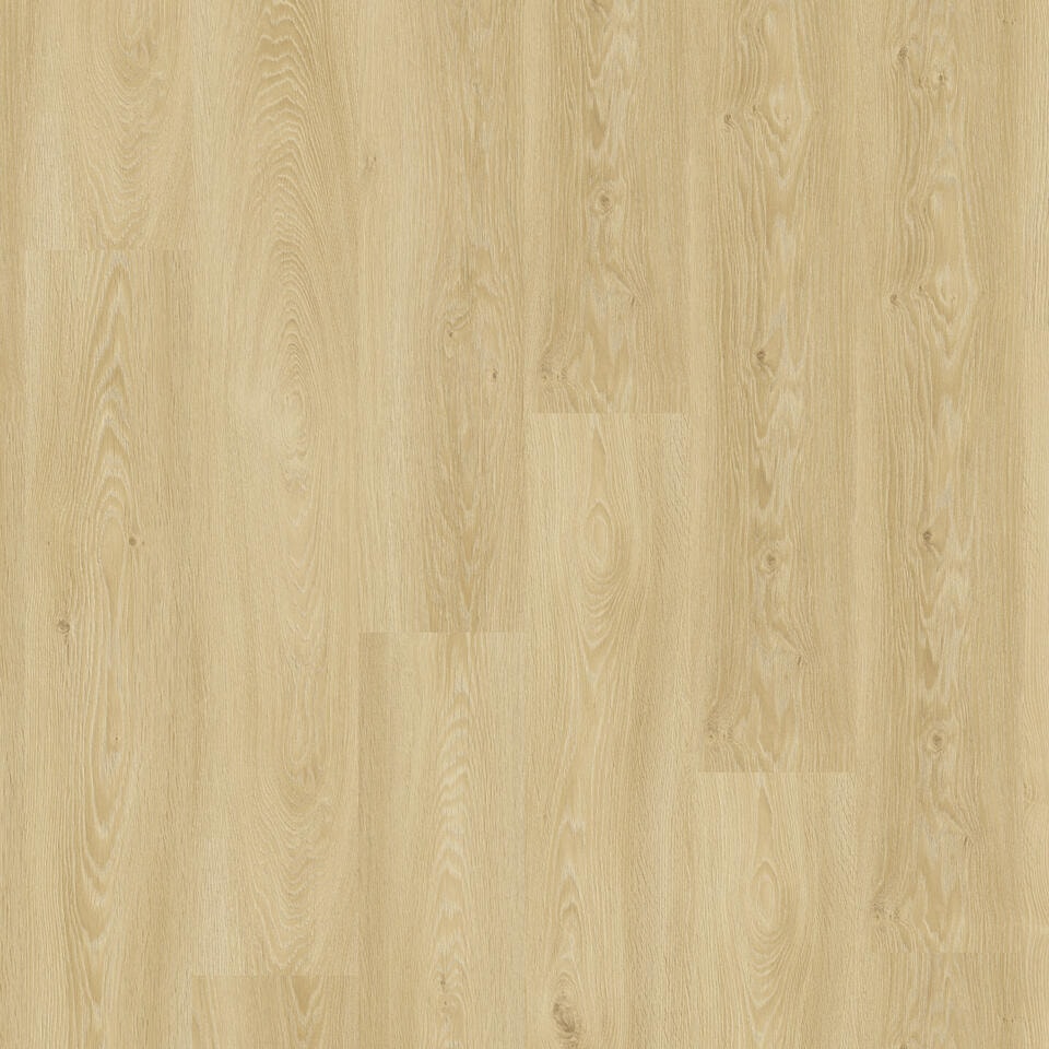 Essence 55-COOL OAK-CLASSICAL-20x120-4v