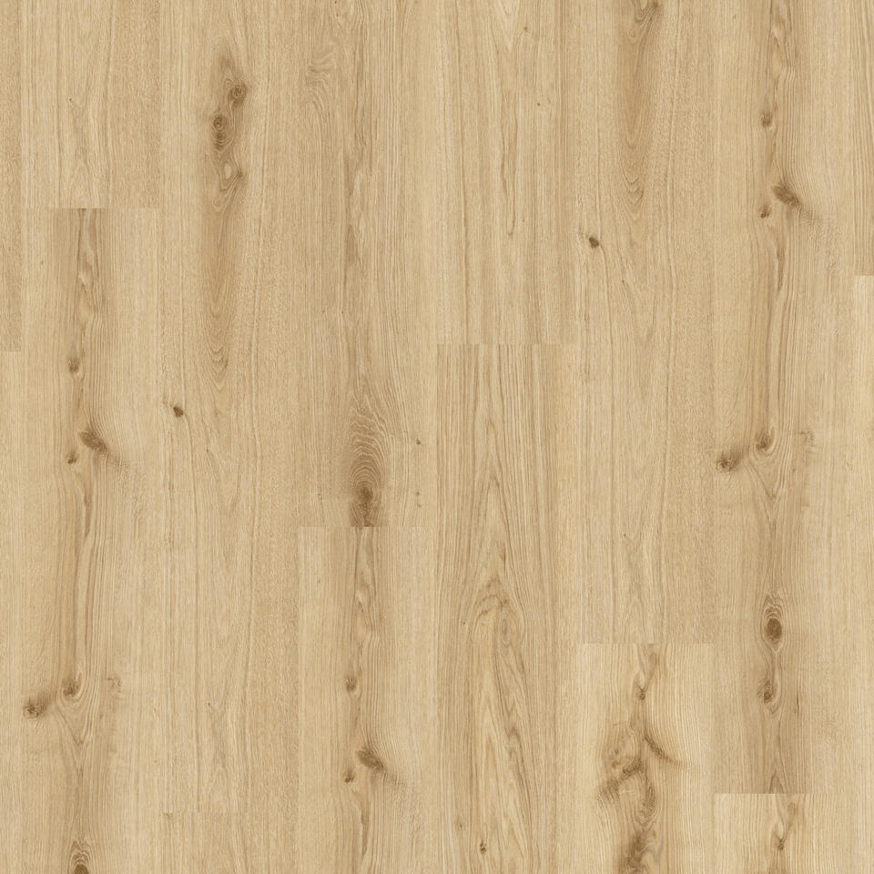 Essence55-PRIMARY OAK-LT BROWN-20x120-4v
