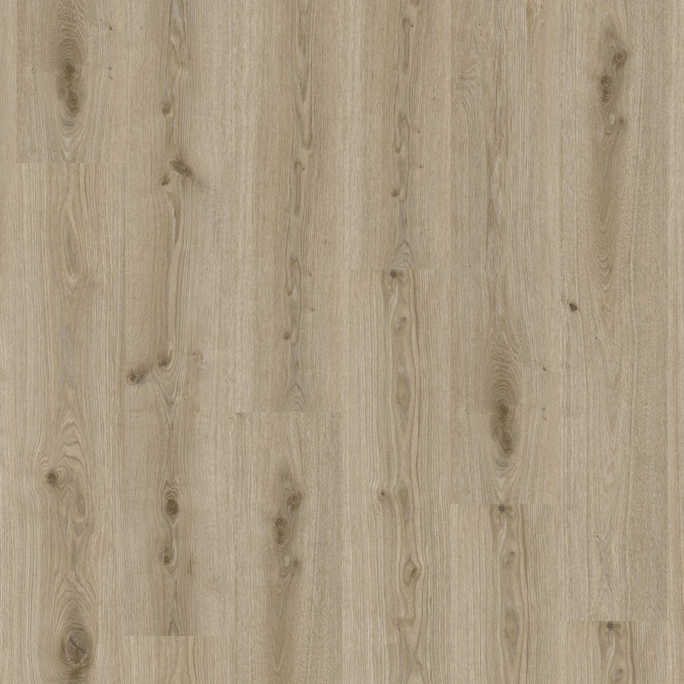 Essence 55-PRIMARY OAK-LT GREY-20x120-4v