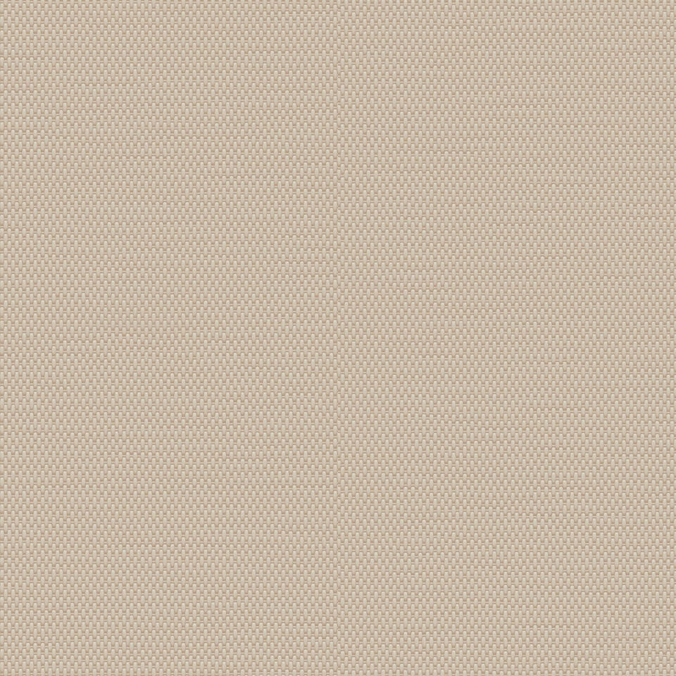 Canvas BLUSH