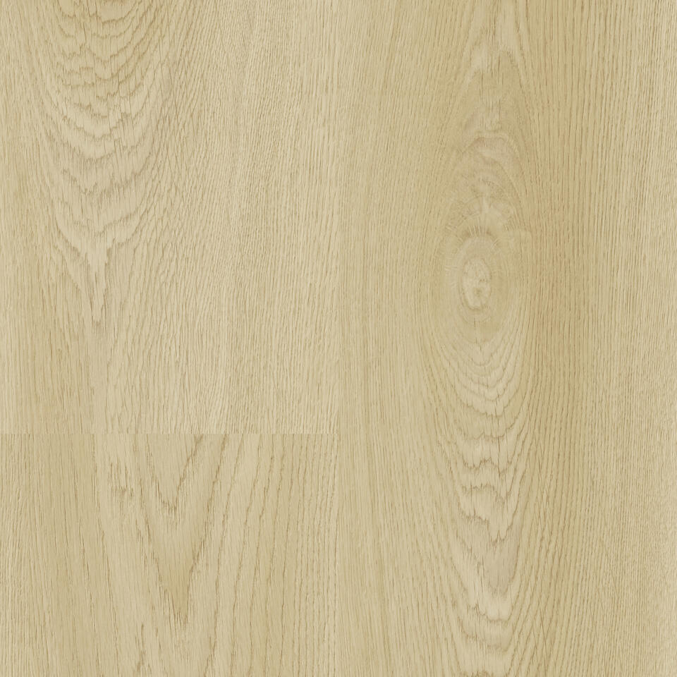 Citizen Oak Allover NATURAL