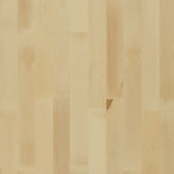TGP 3L JAVOR BARCELONA NATURAL PROF LAK 5Gc