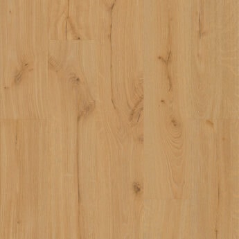 SPC HRAST GINGER 5,0+1,0/0,5 MM 34 i4F
