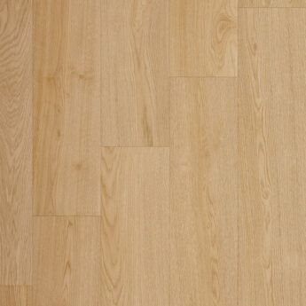 SPC HRAST BENJAMIN 4,2+1,0 MM 33 i4F