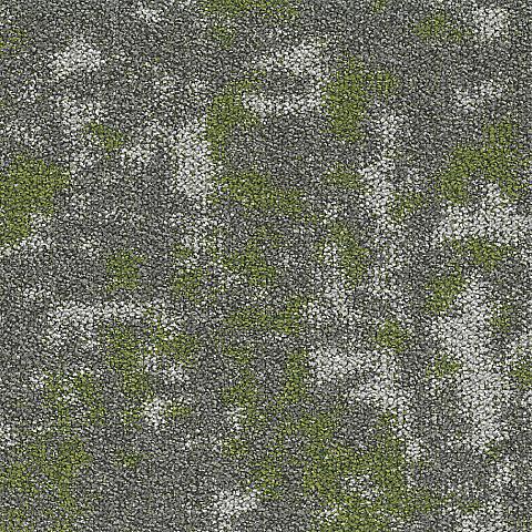 Small 622 Fern